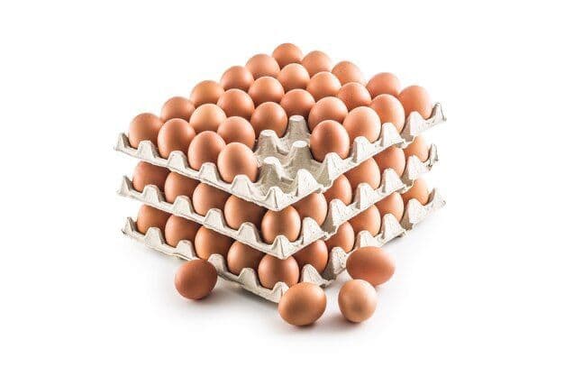 Fresh Eggs